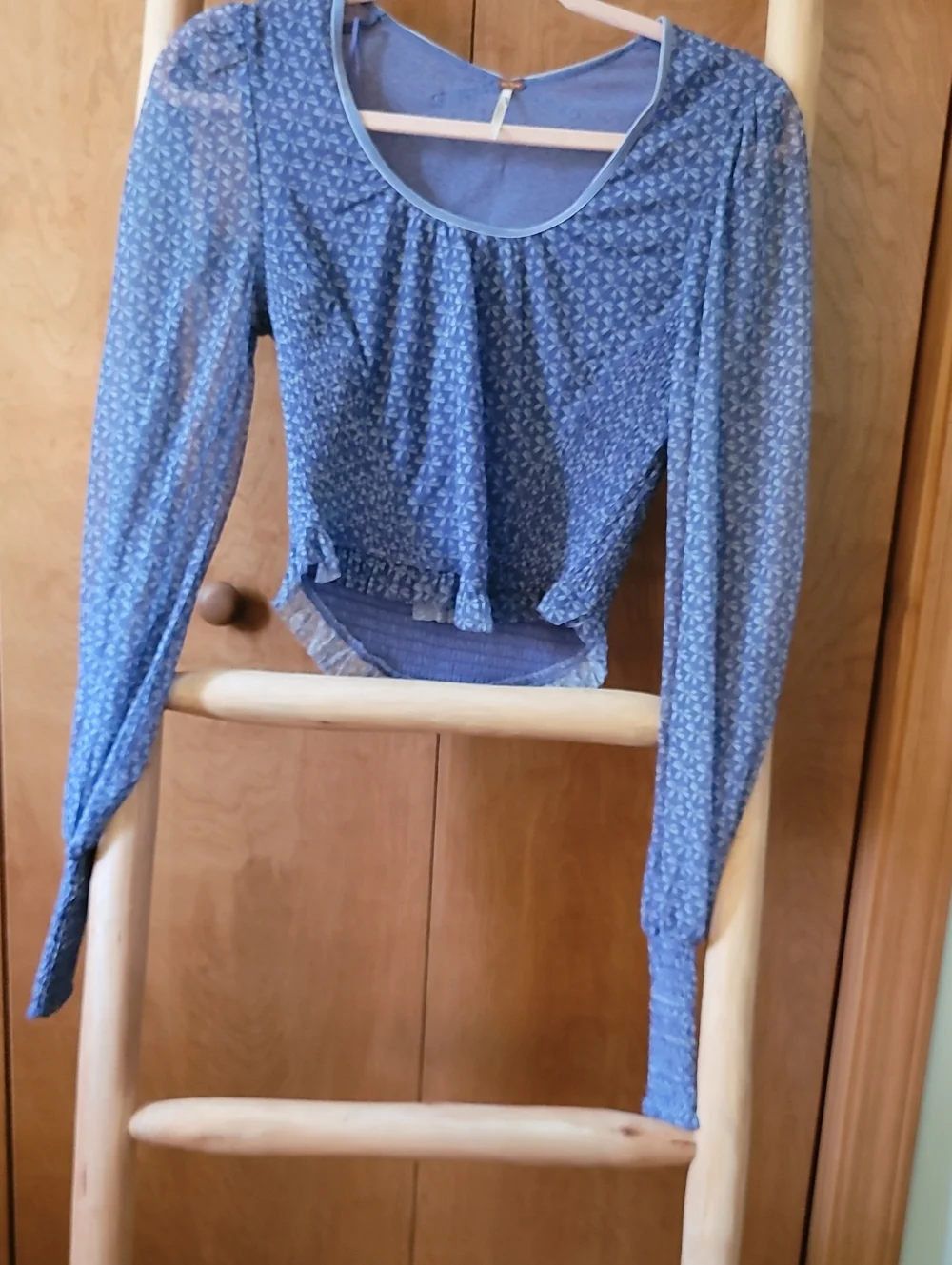 Free People Blue Long-Sleeve Scoop Neck Smocked Top